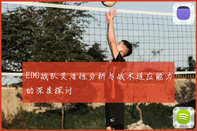 EDG战队灵活性分析与战术适应能力的深度探讨