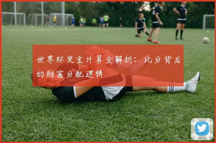 世界杯奖金计算全解析：比分背后的财富分配逻辑