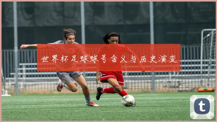 世界杯足球球号含义与历史演变