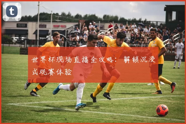 世界杯现场直播全攻略：解锁沉浸式观赛体验