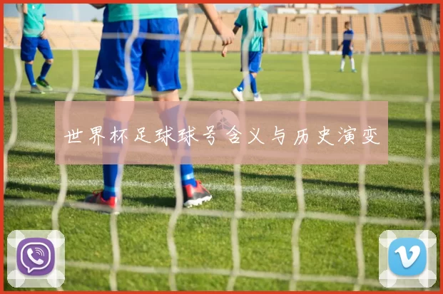 世界杯足球球号含义与历史演变