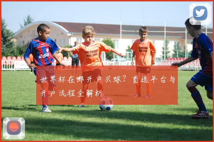 世界杯在哪开户买球？首选平台与开户流程全解析