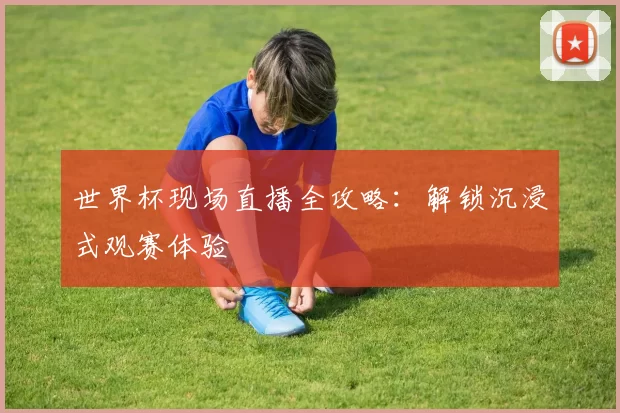 世界杯现场直播全攻略：解锁沉浸式观赛体验