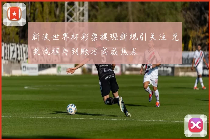 新浪世界杯彩票提现新规引关注 兑奖流程与到账方式成焦点
